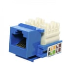 Conector Jack Keystone RJ45 Cat5E azul X-Case ACCREDKE04AZ