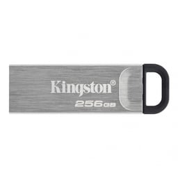 Memoria USB 256GB Kingston Datatraveler Kyson, USB3.2, Plata, DTKN/256GB
