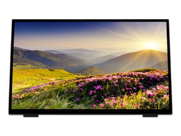 Monitor 24" Viewsonic TD2465 LED/Touch/1920 x 1080 PX/IPS/USB/HDMI/VGA/Color Negro