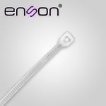 ENS-CH100W2