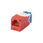 Conector Jack RJ45 Estilo TG Mini-Com CAT6A Panduit Rojo, CJ6X88TGRD