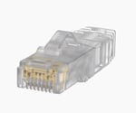 100 Piezas Conector Plug CAT6A Chapado en Oro/ Niquel de 50 Micras Panduit SP6X88-C