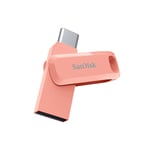 SDDDC3-256G-G46PC2