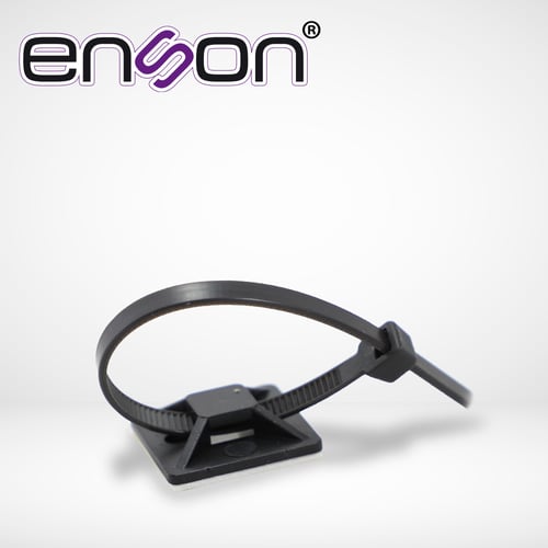 ENS-AG193