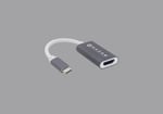 Adaptador USB-C Macho a HDMI Hembra Naceb NA-0114, HD 120HZ, FHD 30HZ, 4K a 30HZ, Color Gris/ Blanco
