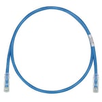 CP-PANDUIT-UTP28SP2BU-1