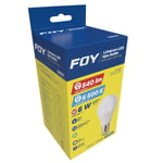 lbfd6-lampara-de-led-tipo-bulbo-a19-6-w-luz-de-dia-foy (1)