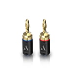 Kit de 2 Adaptadores Austere 5S-BNN2-2P, Series V, Tipo Banana