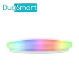 Lampara de Techo Inteligente Multicolor RGB WIFI 2.4GHZ, Duosmart S20, Compatible Con Alexa y Google Home Con Temporizadores Compatible Con Escenas de Automatizacion en Conjunto Con Otros Dispositivos