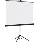 Pantalla de Proyeccion Multimedia Screen 137" Diagonales MST-246, 2.46X2.46M, Tripie, Color Blanco Mate