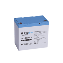 Bateria LinkedPro LK5512/12V/55Ah/UL/Tecnologia AGM/Vida Util de 5 Años/Para Uso en Equipo Electronico/Alarmas de Intrusion/Incendio/Control de Acceso/Video Vigilancia/T2