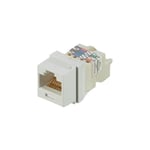Modulo jack categoría 6, 8 posiciones blanco, Panduit NK6TMWH