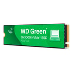 WDS500G4G0E