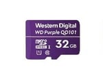 Memoria Micro SDHC 32GB WD Purple SC QD101 Clase 10, WDD032G1P0C