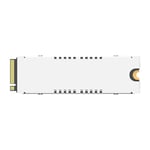 BX570DH01TB-RGX3