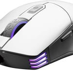 Mouse Alámbrico Gamer EVGA X12 / 905-W1-12WH-KR / 16,000DPI / 8 Botones / Iluminación RGB / Color Blanco