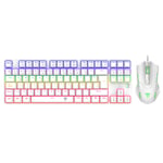 Kit Gamer Teclado TKL y Mouse RGB T-DAGGER Advance Force T-TGS005W Color Blanco