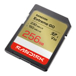 SDSDXGN-256G-GNCIN2