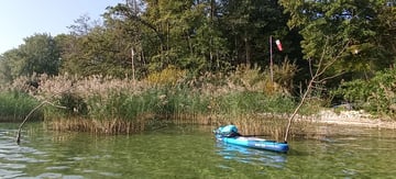 Paddle
