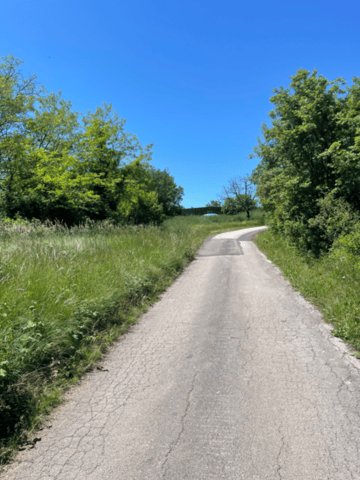 🚴‍♂️ Vélo route & gravel autour d’Alès