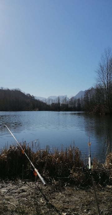 À la découverte de la pêche