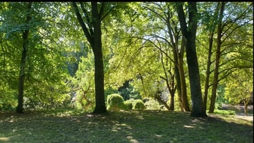 Tai Chi Parc de la Rhônelle