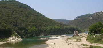 Collias