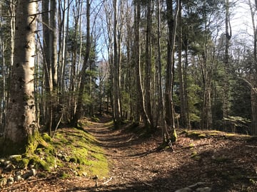 Marcher à Claix