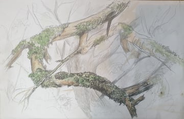 Randocroquis