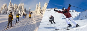 Sorties ski