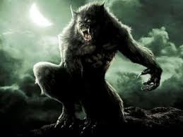 Loup garou