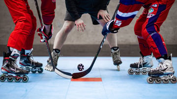 Roller hockey