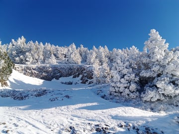Résidents plateau du Vercors