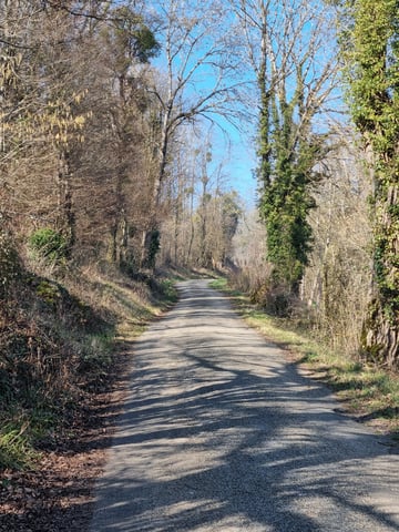 Randonnées de faciles à moyennes