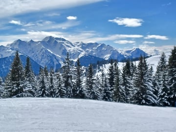 Ski