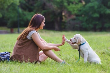 Dog mom/dad