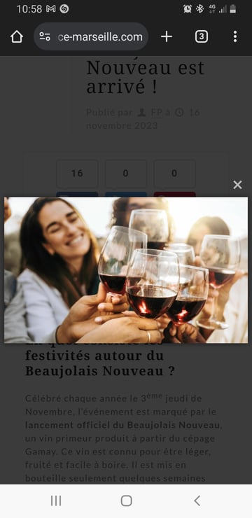 Beaujolais 2024