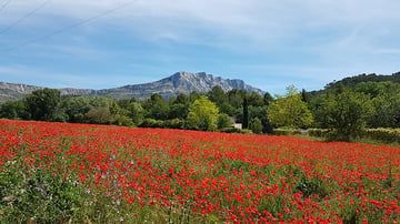 J’habite au pied de la Sainte Victoire