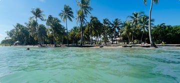 Voyages