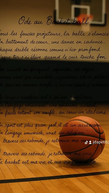 Jda dijon basket 🏀