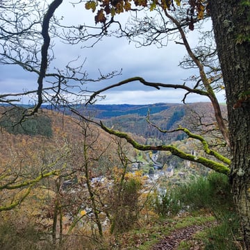 Promenades et randonnées