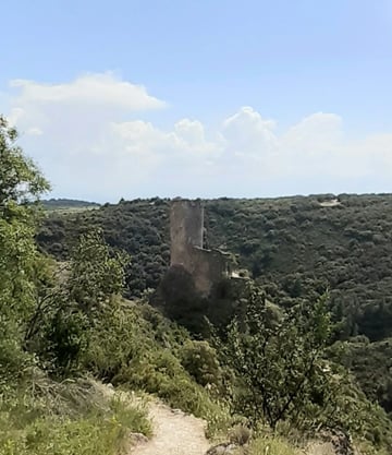 Rando dans ma Montagne Noire