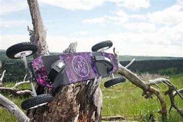 Mountainboard