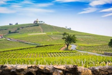 🍷 Terroir du Beaujolais entre Potes