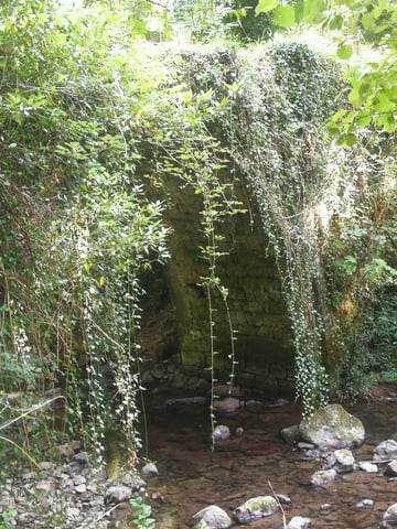 Naturex