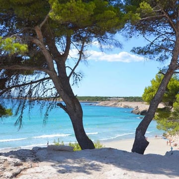 Côté bleu.