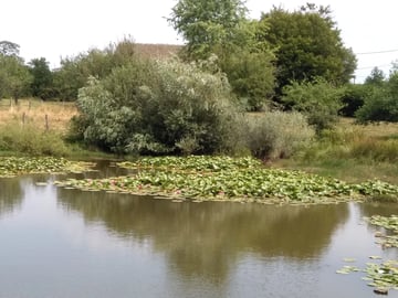 balade à la campagne