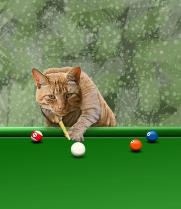 🎱 Billard