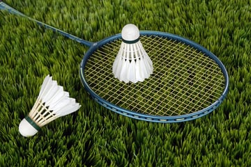 Amateurs de badminton