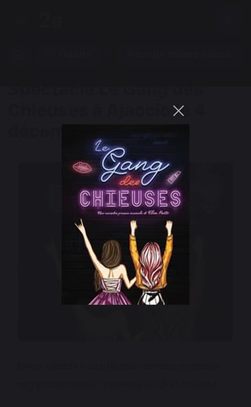Spectacle. Le gang des Chieuses